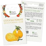 Tomaten Samen Yellow Pearshaped: Birnenförmige Gelbe Minitomate – Cocktailtomaten Samen zum Anbau von Tomatenpflanzen für Balkon und Garten – Köstliche Birnentomate – 5 Gemüse Samen von OwnGrown