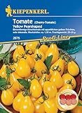 Kiepenkerl Profi-Line Cherrytomatensamen Yellow Pearshaped - Aromatische Gelbe Kirschtomate, Ideal zum Naschen, Hochwertige Gemüsesamen, Tomatensamen für Garten und Balkon, Samen für Gemüseanbau