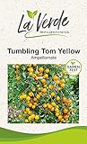 Tumbling Tom Yellow Tomatensamen