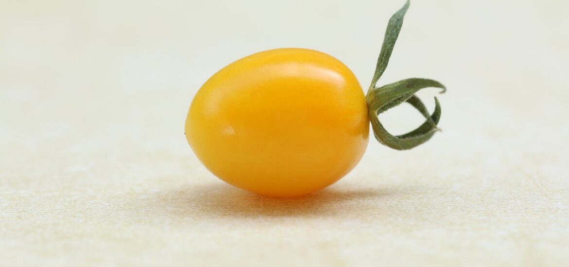 gelbe tomate