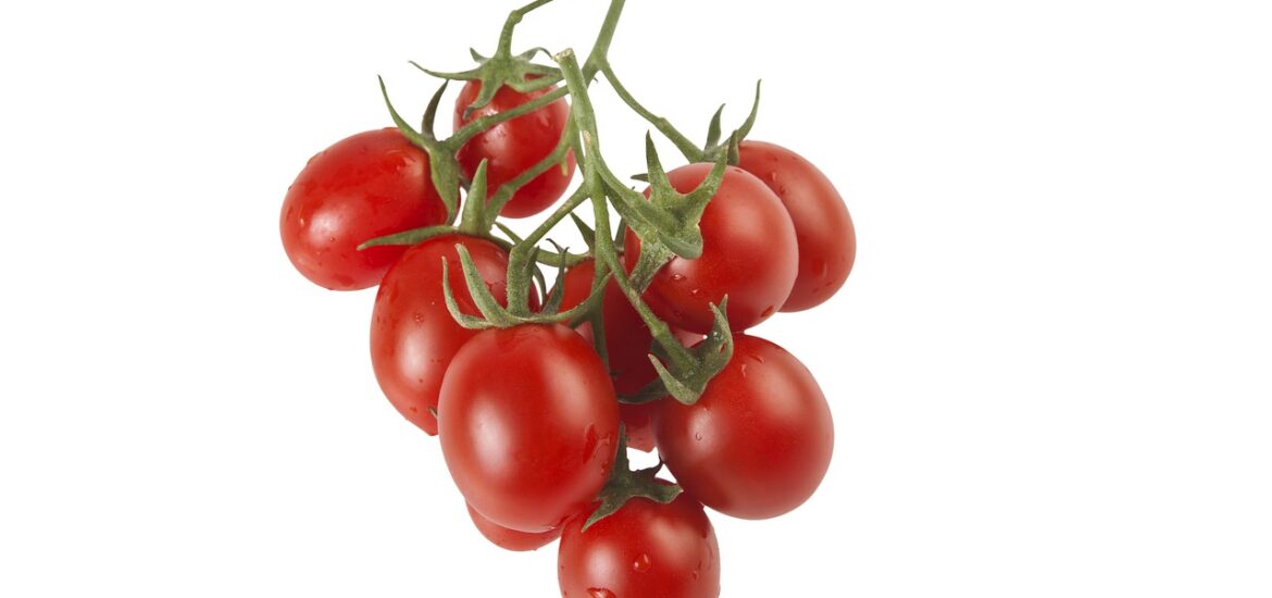Tomaten