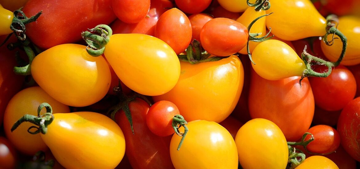 Tomaten